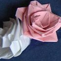 ribbon roses workshop